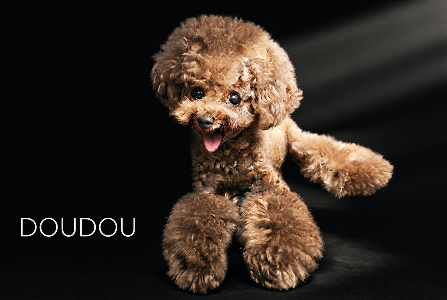 DOUDOU